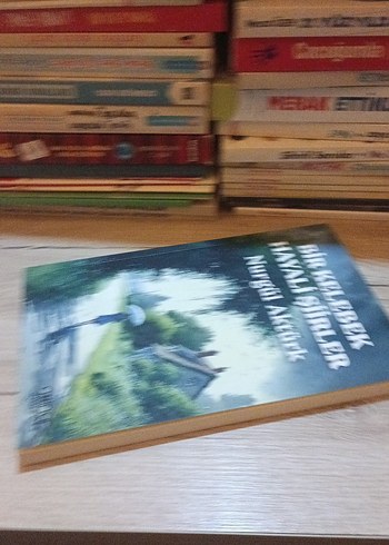 Bir Kelebek Hayali Şiirler - Nurgül Aktürk - Görsel 3