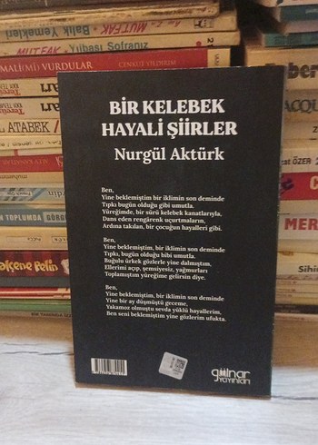 Bir Kelebek Hayali Şiirler - Nurgül Aktürk - Görsel 2