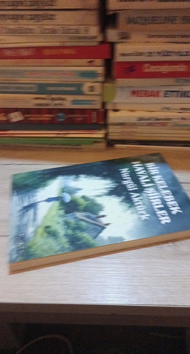 Bir Kelebek Hayali Şiirler - Nurgül Aktürk - Görsel 3