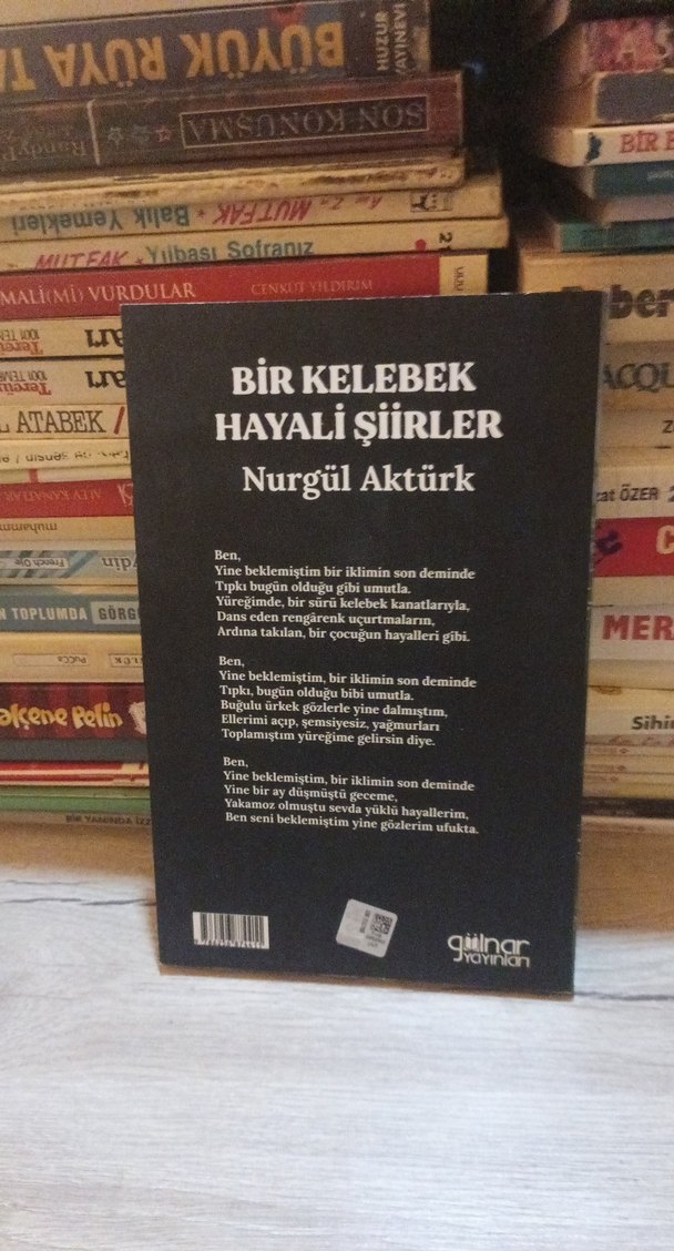 Bir Kelebek Hayali Şiirler - Nurgül Aktürk - Görsel 2