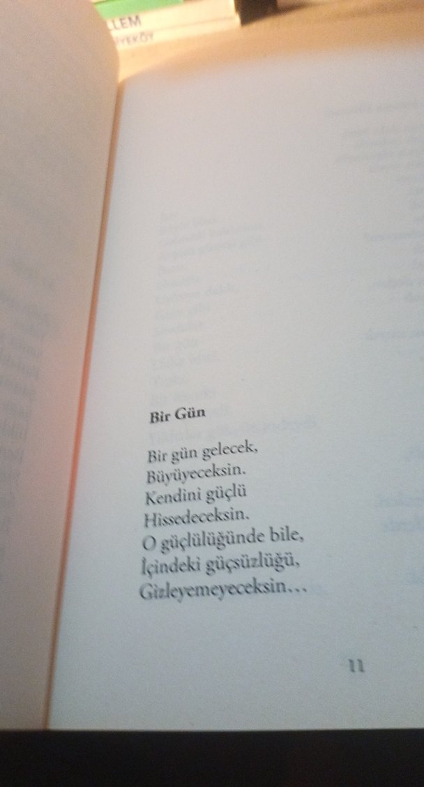 Hüznü Kıran Umutlar - Ali Yurtseven - Görsel 4