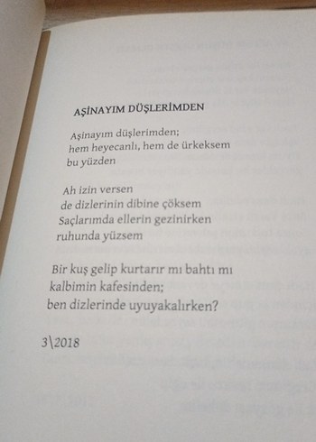 Çatlak Kadeh - Remzi Gülek - Görsel 7