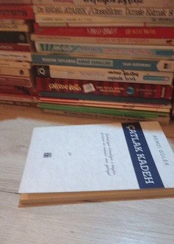 Çatlak Kadeh - Remzi Gülek - Görsel 3