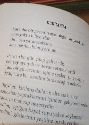 Çatlak Kadeh - Remzi Gülek - Görsel 8