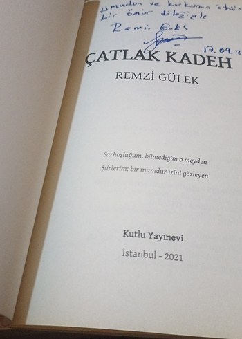 Çatlak Kadeh - Remzi Gülek - Görsel 5
