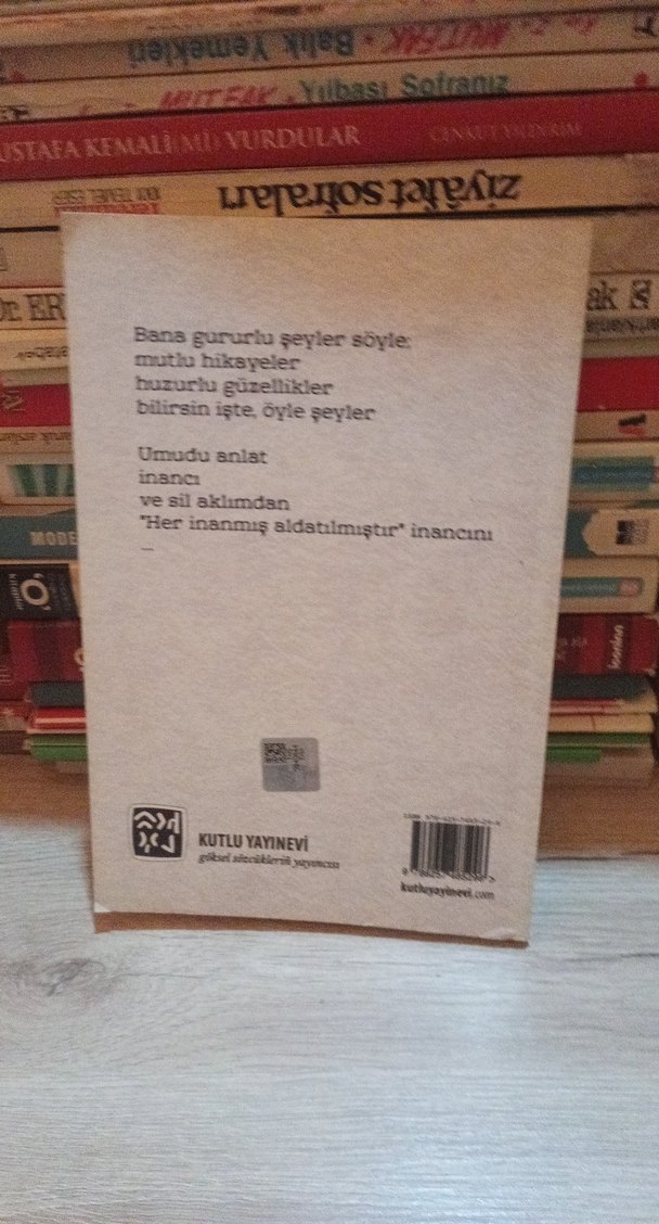 Çatlak Kadeh - Remzi Gülek - Görsel 2