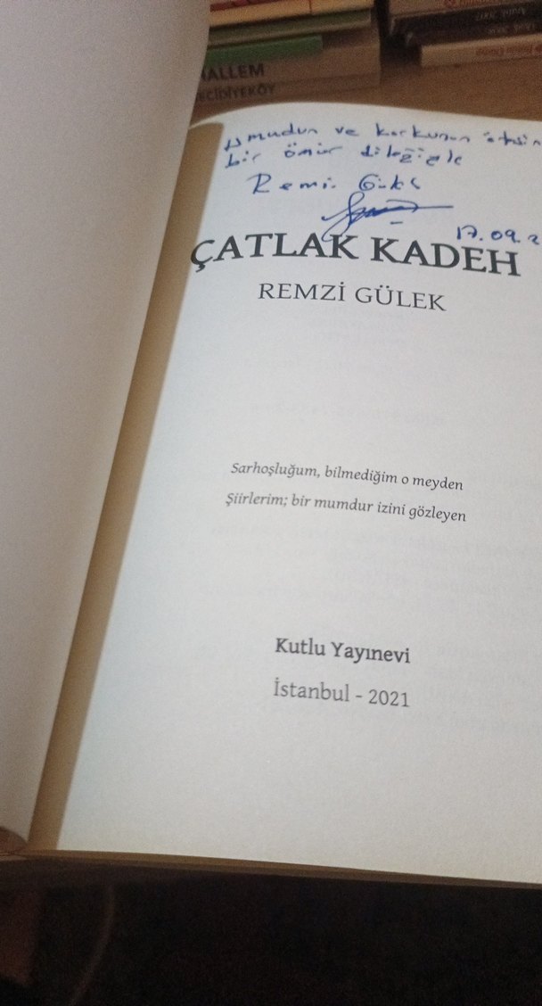 Çatlak Kadeh - Remzi Gülek - Görsel 5