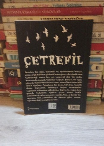 Çetrefil - Yunus Emre Erden - Görsel 2