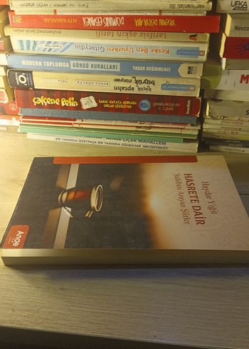 Hasrete Dair - Haydar Yiğit - Görsel 3