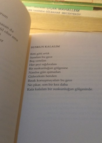 Hasrete Dair - Haydar Yiğit - Görsel 6