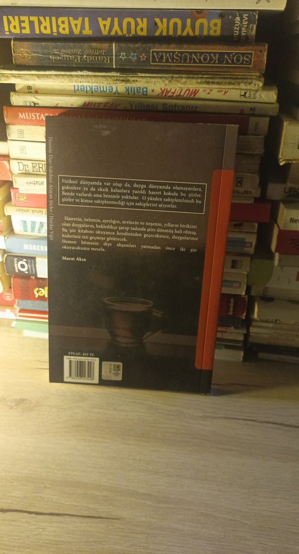 Hasrete Dair - Haydar Yiğit - Görsel 2