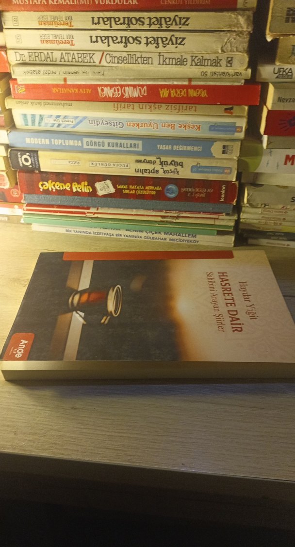 Hasrete Dair - Haydar Yiğit - Görsel 3