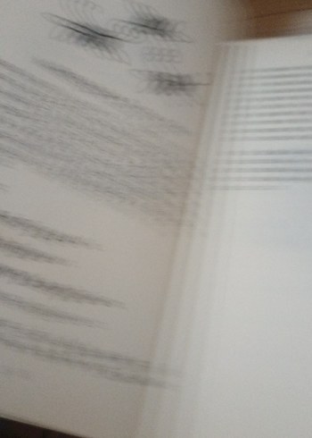 İçimdeki Seni Hisset - Barış Şimşek - Görsel 5