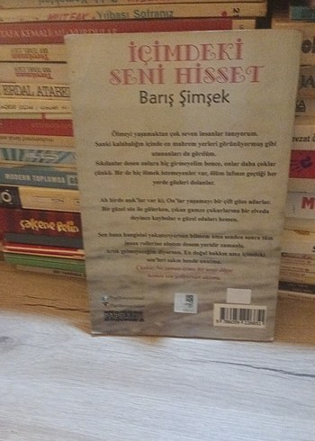 İçimdeki Seni Hisset - Barış Şimşek - Görsel 2