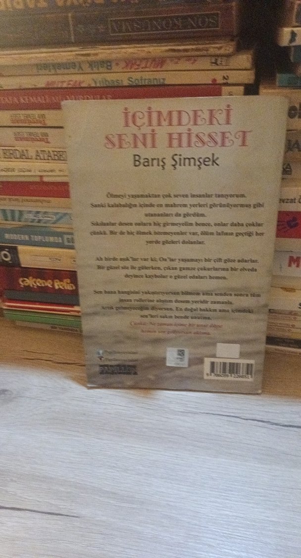 İçimdeki Seni Hisset - Barış Şimşek - Görsel 2