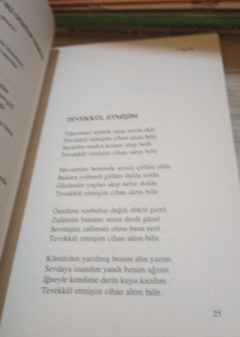 Heybe - Zekine Karakoçek Roman - Görsel 6