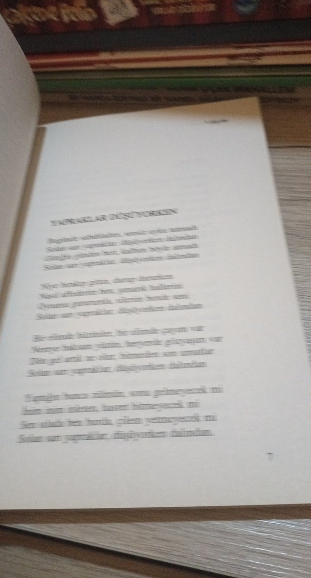 Heybe - Zekine Karakoçek Roman - Görsel 5