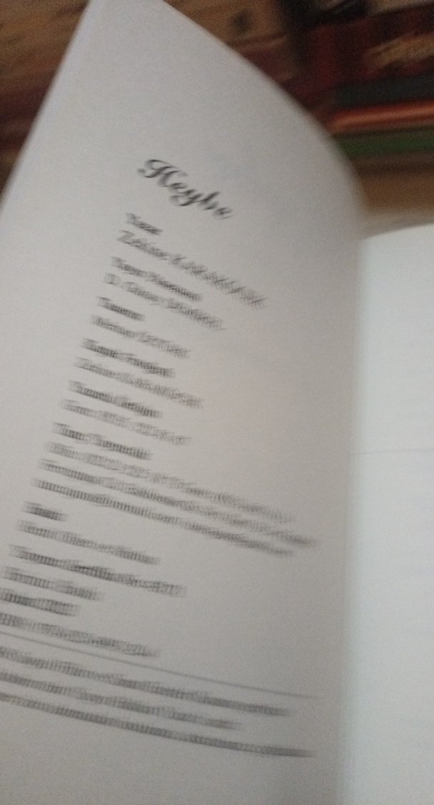 Heybe - Zekine Karakoçek Roman - Görsel 4