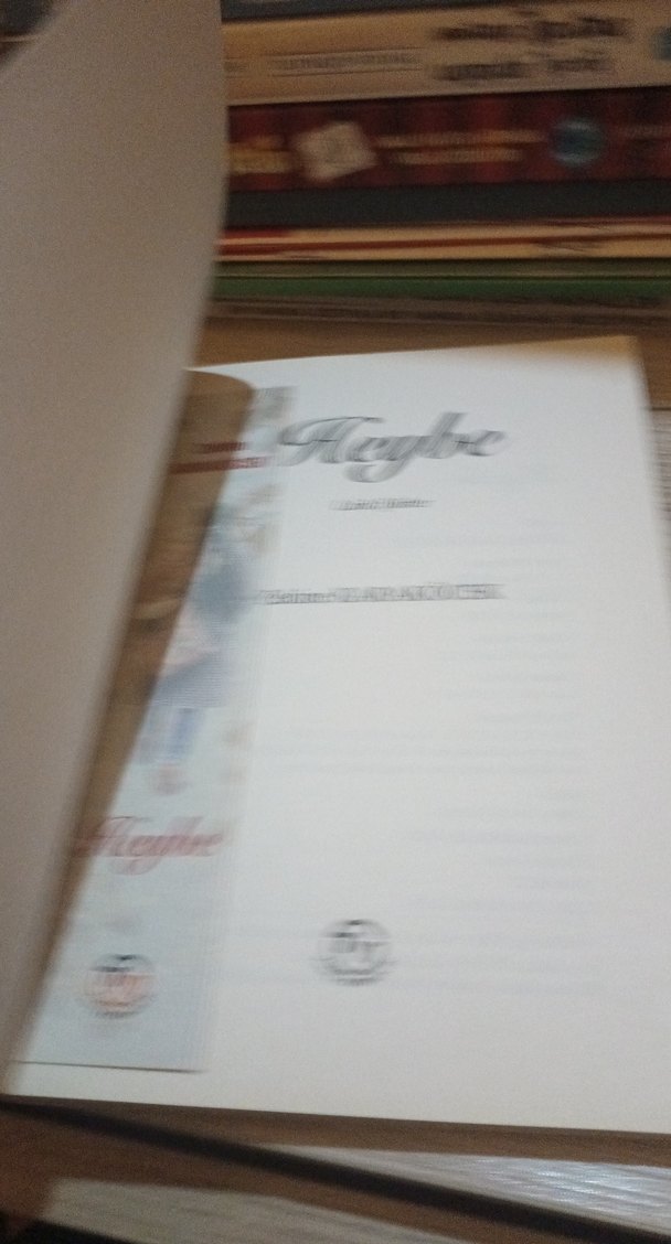 Heybe - Zekine Karakoçek Roman - Görsel 3