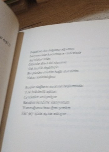 Gökyüzü Varken Kuşlar Kafeste - Pınar İrdar - Görsel 8