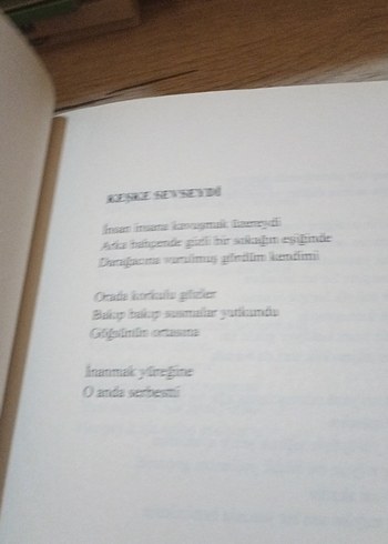 Gökyüzü Varken Kuşlar Kafeste - Pınar İrdar - Görsel 7