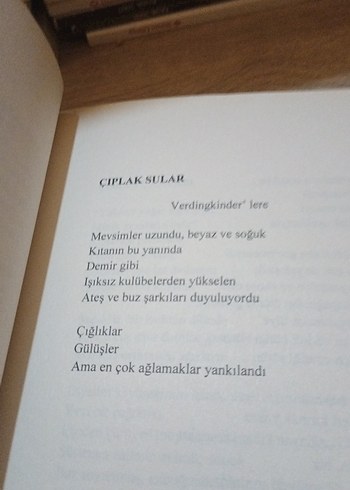 Gökyüzü Varken Kuşlar Kafeste - Pınar İrdar - Görsel 9