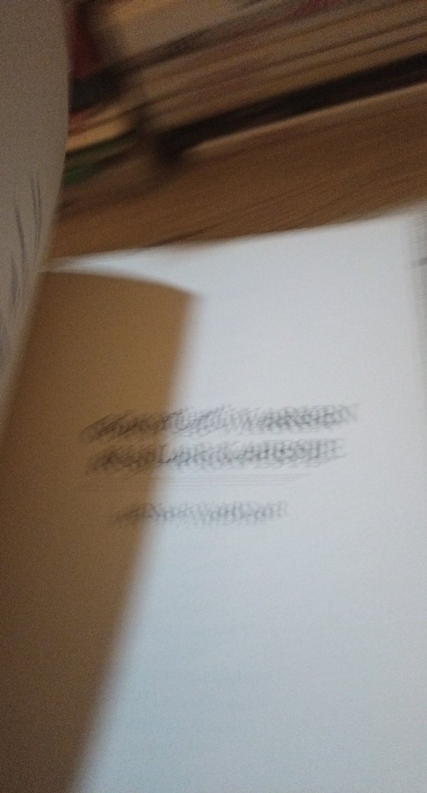 Gökyüzü Varken Kuşlar Kafeste - Pınar İrdar - Görsel 5