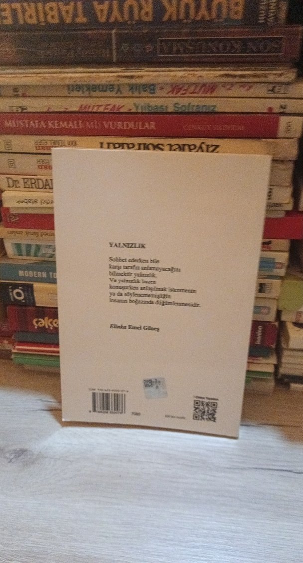 Sen Başka Dünyalarda - Elinka Emel Güneş - Görsel 2