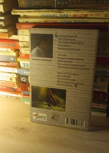 HİKMET DÖNMEZ - Görsel 2