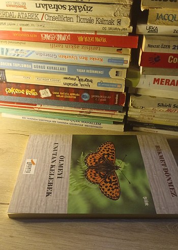 HİKMET DÖNMEZ - Görsel 3