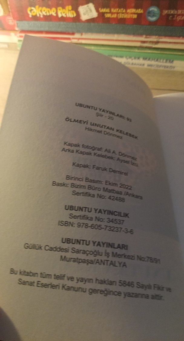 HİKMET DÖNMEZ - Görsel 4