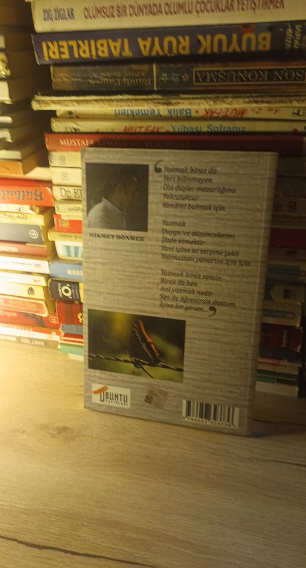 HİKMET DÖNMEZ - Görsel 2