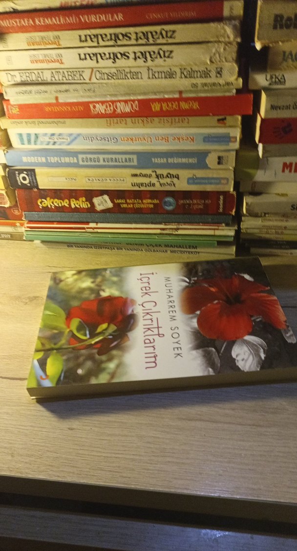 İçrek Çıkrıklarım - Muharrem Soyek - Görsel 3