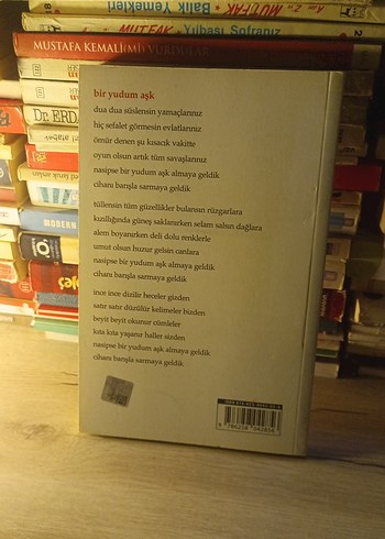 Bir Yudum Aşk - Emily Yaramış - Görsel 2