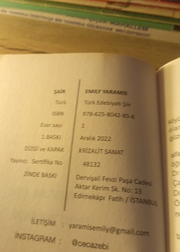 Bir Yudum Aşk - Emily Yaramış - Görsel 4