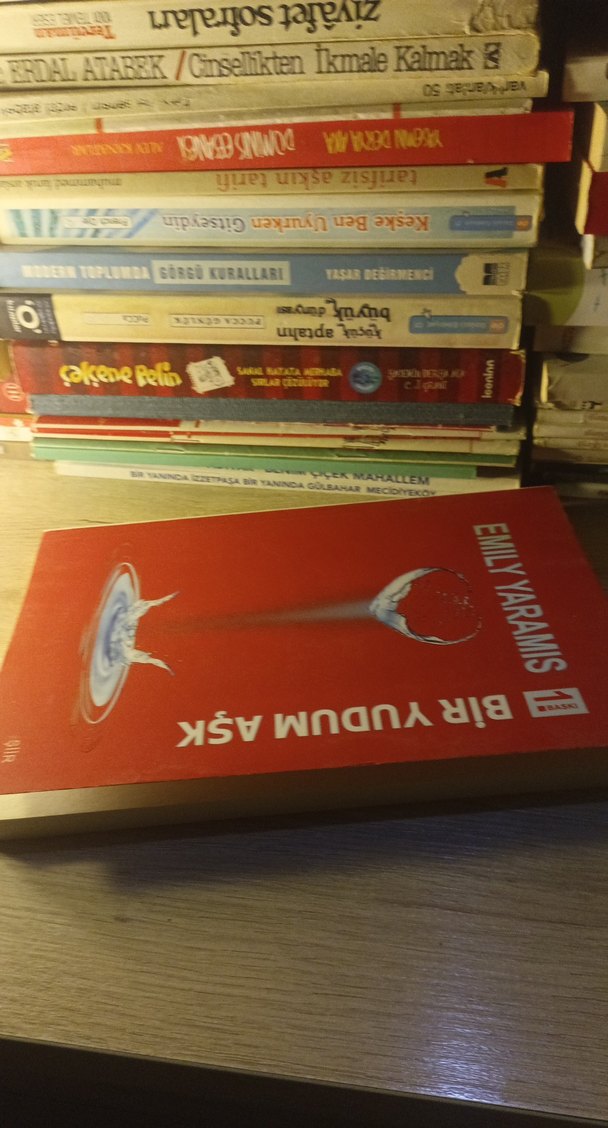 Bir Yudum Aşk - Emily Yaramış - Görsel 3