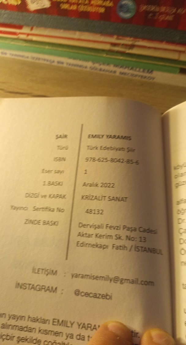 Bir Yudum Aşk - Emily Yaramış - Görsel 4