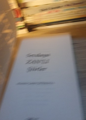 Sevdaya Zan'lı Şiirler - Mustafa Çelebi - Görsel 4