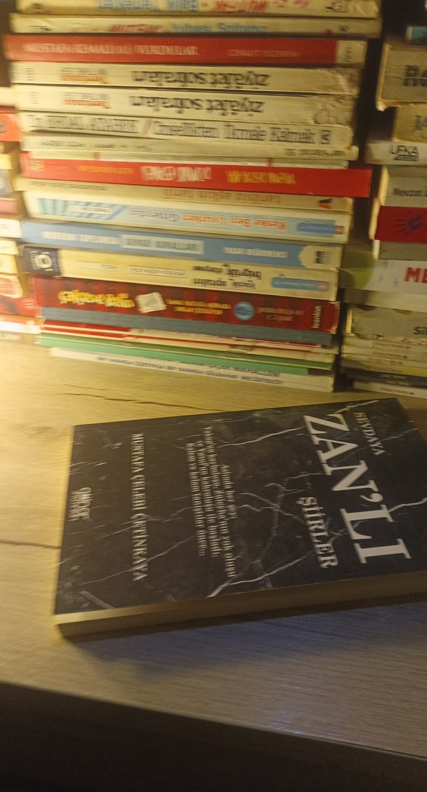 Sevdaya Zan'lı Şiirler - Mustafa Çelebi - Görsel 3