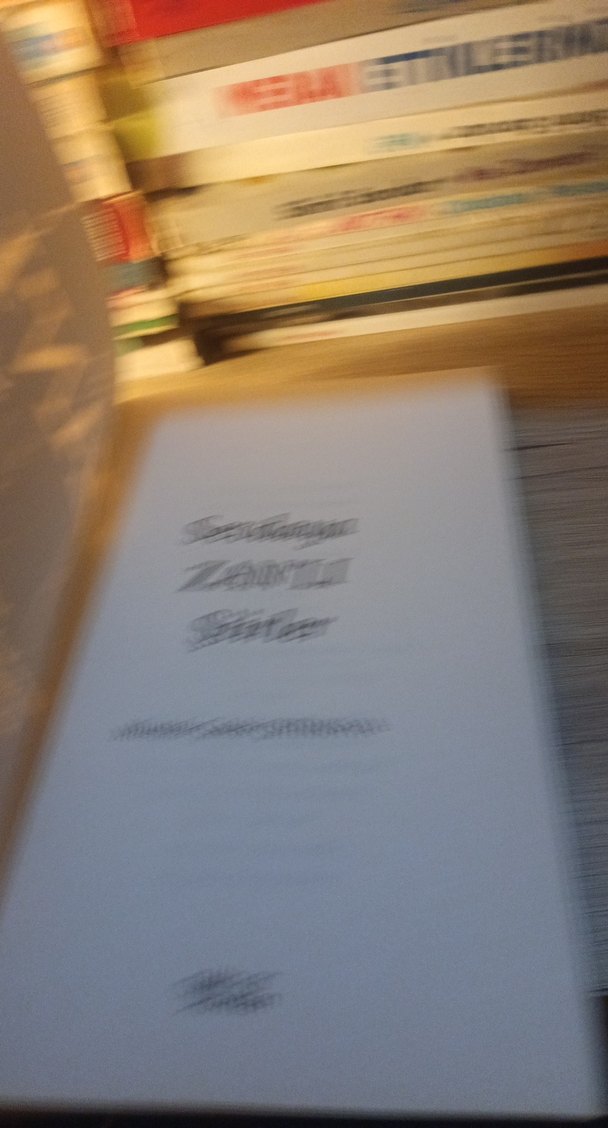 Sevdaya Zan'lı Şiirler - Mustafa Çelebi - Görsel 4