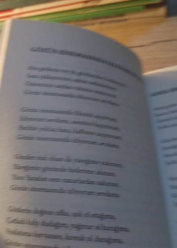 Yüreğime Geç Kalma - Ramazan Saşmaz - Görsel 6