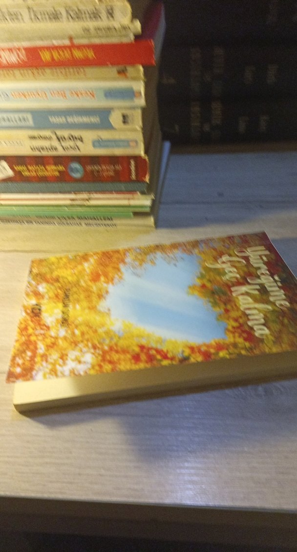 Yüreğime Geç Kalma - Ramazan Saşmaz - Görsel 3