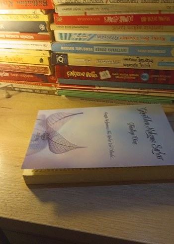 GÖNÜLDEN KALEME SIRLAR/FENDİYE DİNÇ - Görsel 3