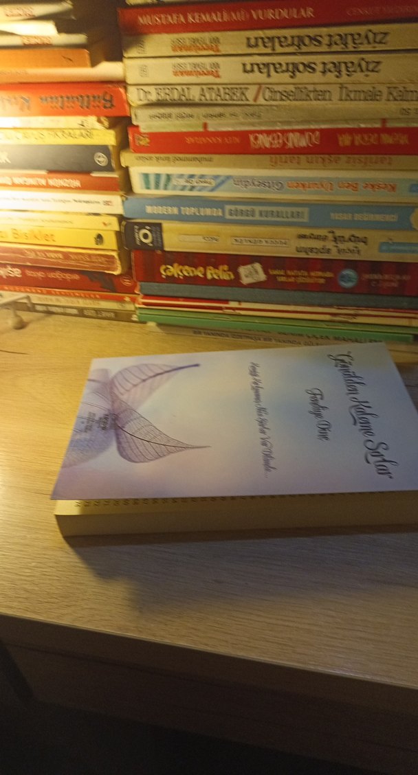 GÖNÜLDEN KALEME SIRLAR/FENDİYE DİNÇ - Görsel 3