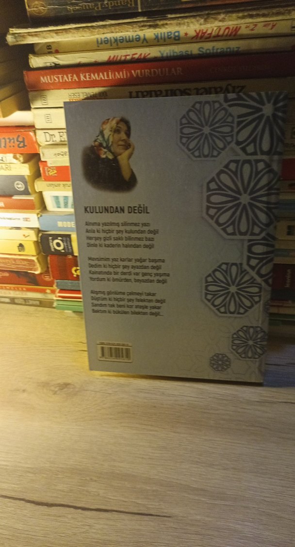 GÖNÜLDEN KALEME SIRLAR/FENDİYE DİNÇ - Görsel 2