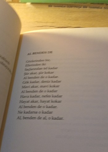 İmza - İlyas Aybuga - Görsel 5