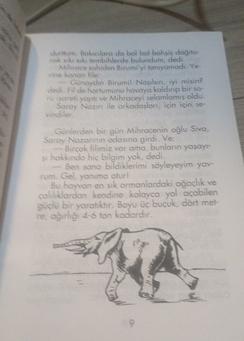 Mihracenin Fil - Görsel 6