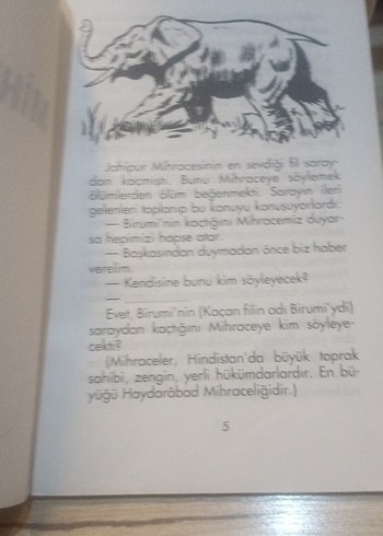 Mihracenin Fil - Görsel 5