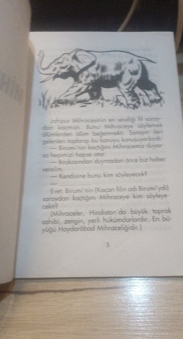 Mihracenin Fil - Görsel 5