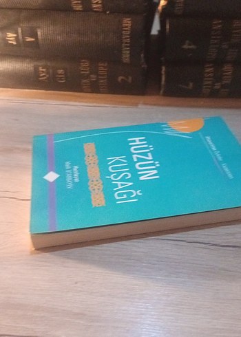 Hüzün Kuşağı/MALİK OTARBAYEV - Görsel 3